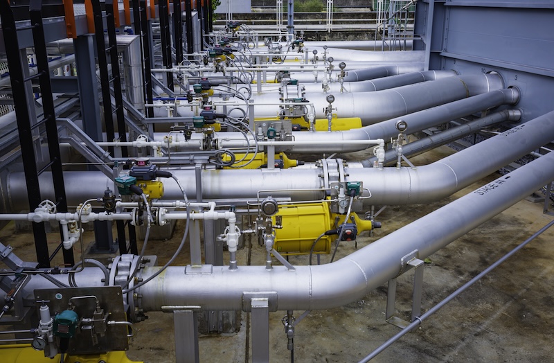 Bilder på rör och stammar.